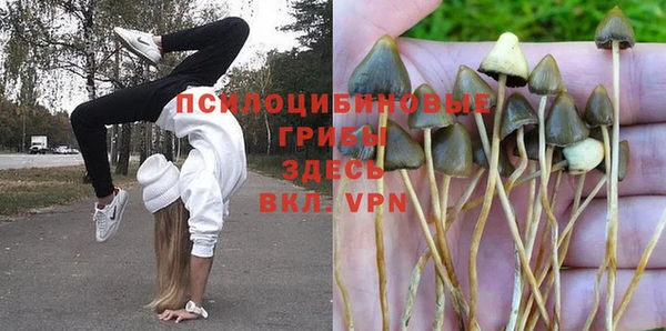 спайс Алексеевка