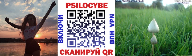 блэк спрут ссылки Джанкой Галлюциногенные грибы прущие грибы
