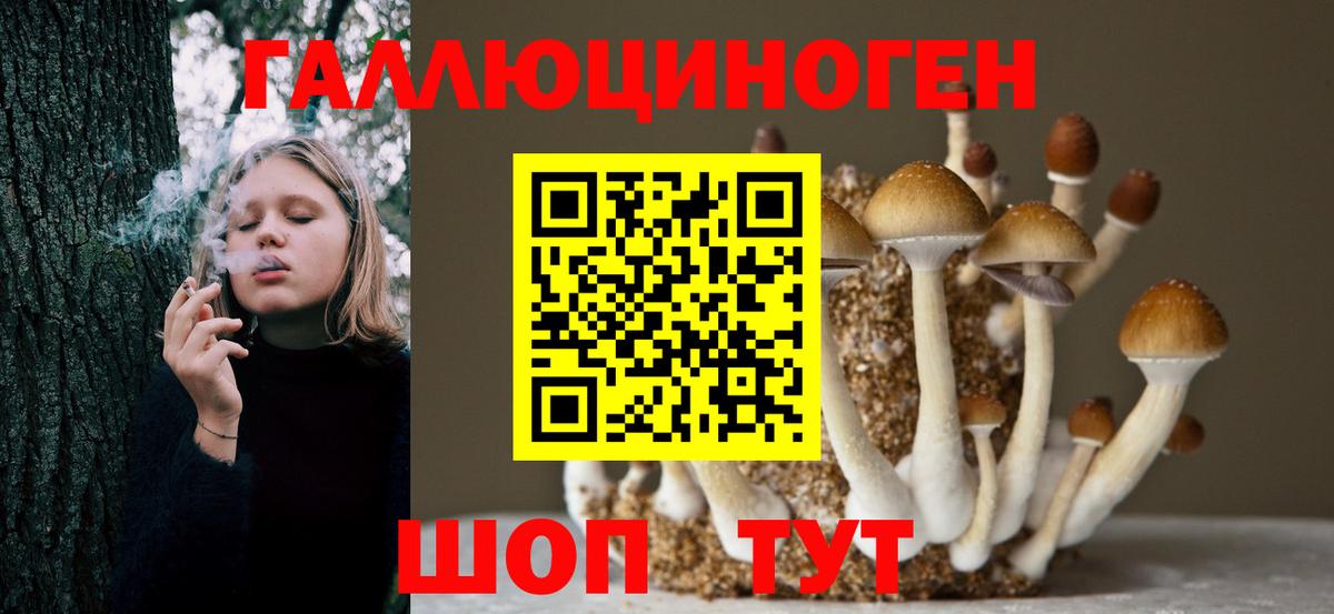 Джанкой  Галлюциногенные грибы Psilocybe  Вход с VPN 